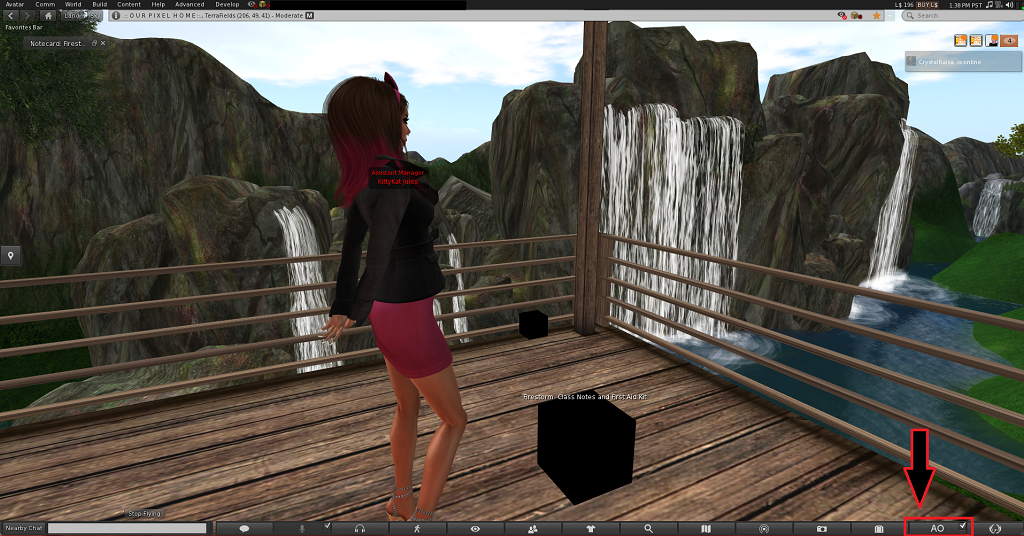 Vista Using Secondlife Software